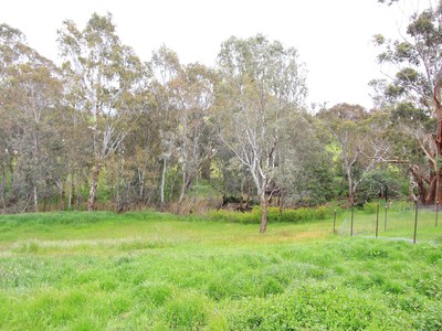 5175 Northern Highway, Tooborac