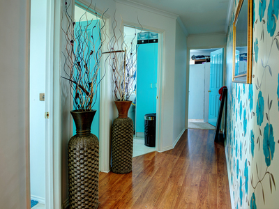 7 Belalie Close, Hampton Park