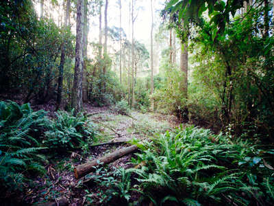 18 Magpie Track, Cherokee