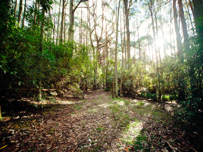 18 Magpie Track, Cherokee