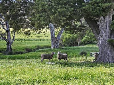 5785 Northern Highway, Heathcote