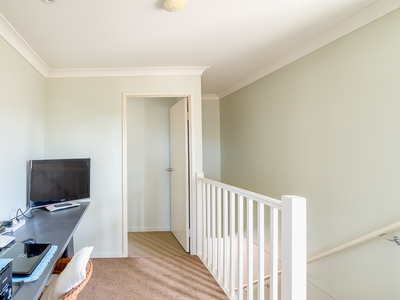 40 / 1 Ibis Boulevard, Eli Waters