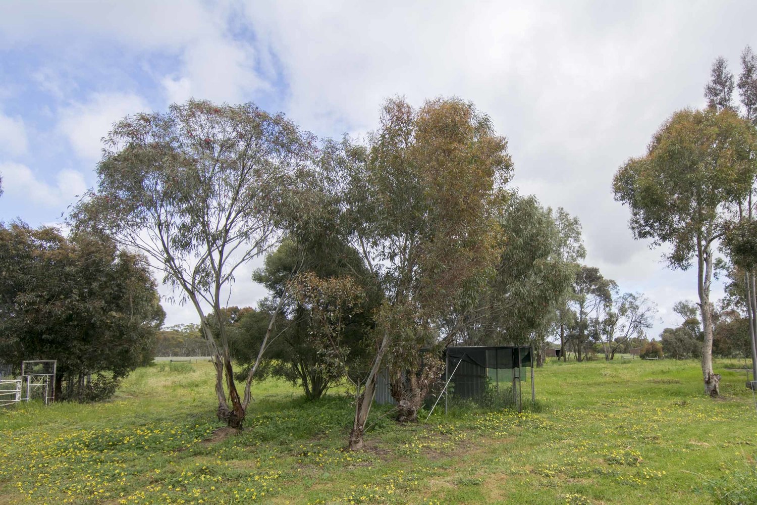 193 Wards Road, Haven