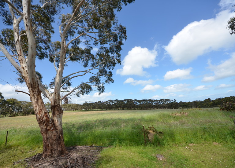 103 Benbows Road, Portland