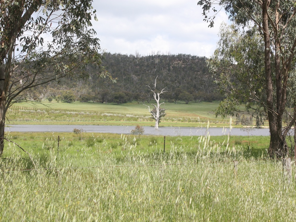 562 Jones Road Mt Bruno, Glenrowan