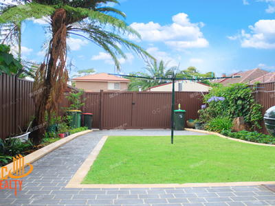 46 Carlisle St, Ashfield