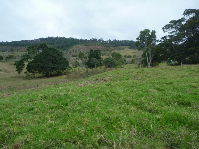 "Heaven on Earth" (Buyer and Landlord)