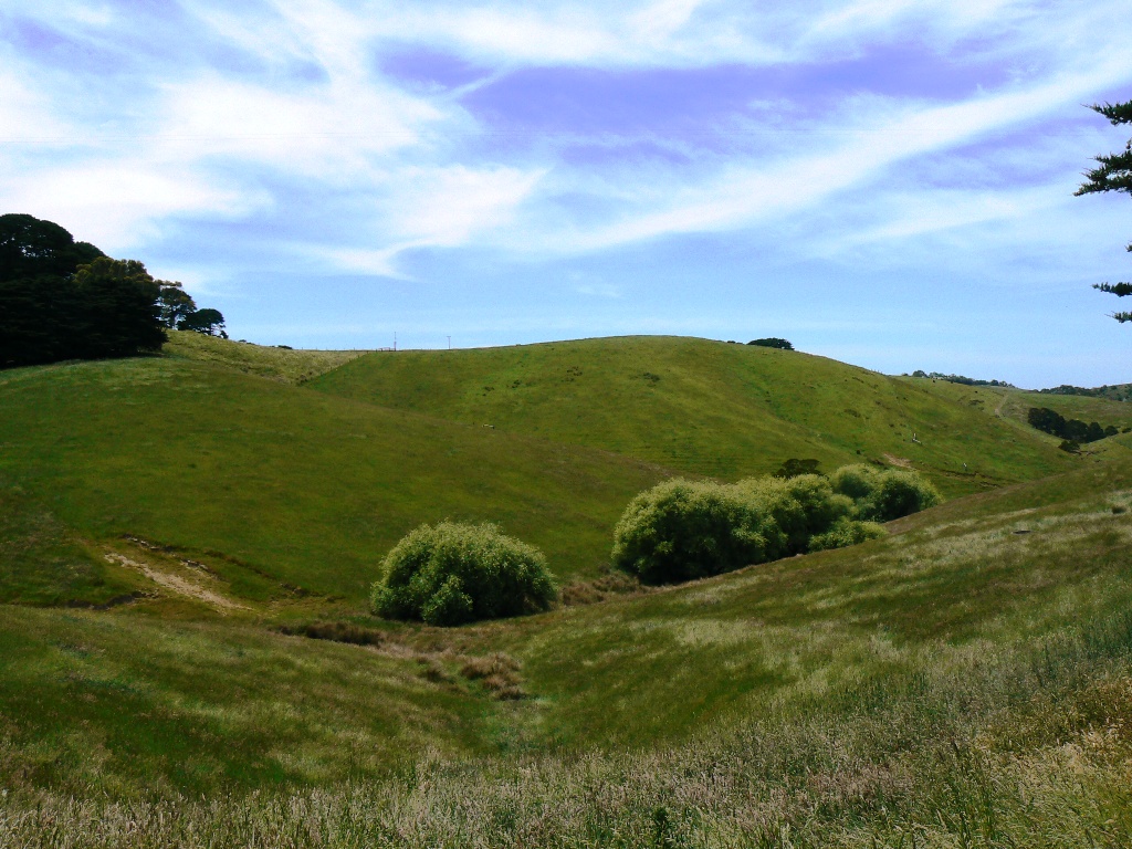 180 Busty Road, Apollo Bay Smyth Real Estate