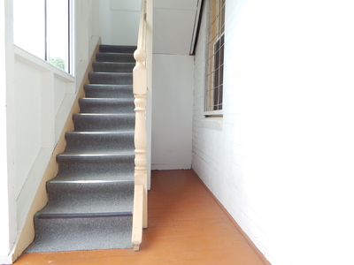 46 Carlisle St, Ashfield