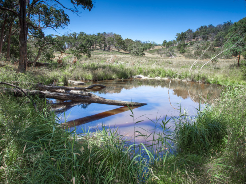 496 Youngs Road, Baynton
