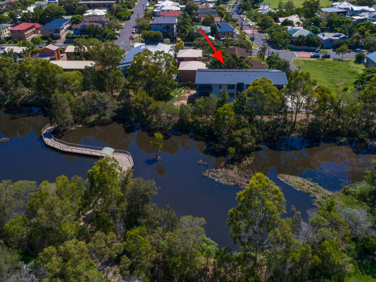 81  Halstead st, Coorparoo