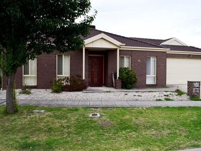 26 Hal Porter Terrace, Lynbrook