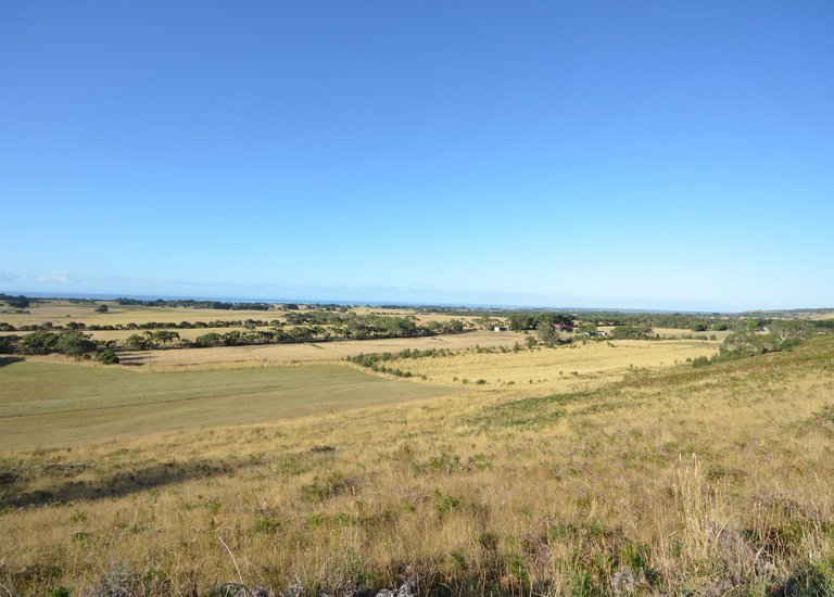 Lot 2, Liebelts Road, Narrawong