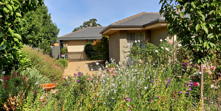 11 Mernda Ave, Euroa