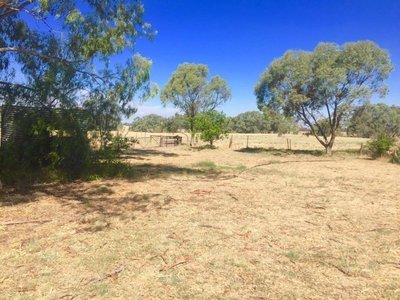 4 Mackenzie Street, Conargo