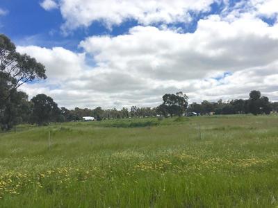18 Riverview Drive, Deniliquin