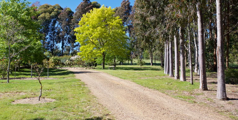 252 McLeans Lane, Ruffy