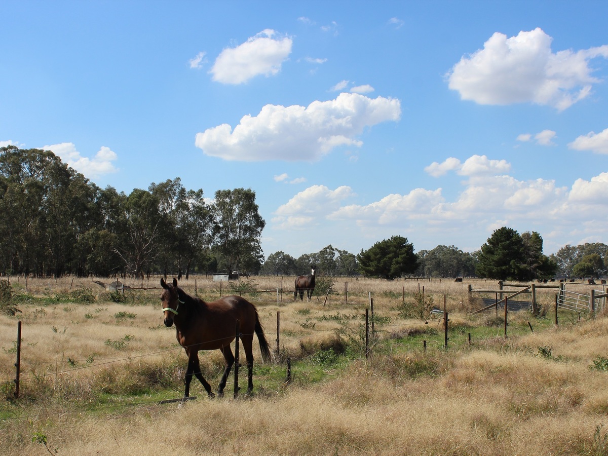 73 Baddaginnie/Warrenbayne Road, Baddaginnie