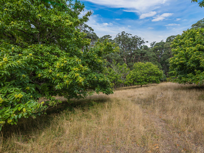 80 Turner Avenue, Woodend