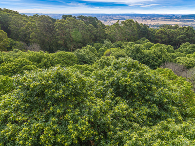 80 Turner Avenue, Woodend