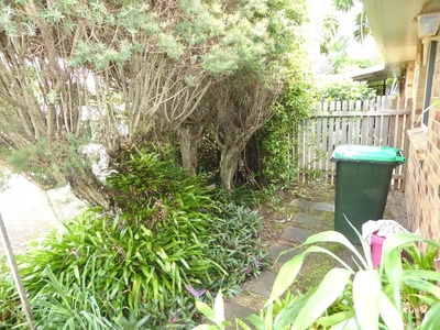 5 / 5 Train Street, Mullumbimby