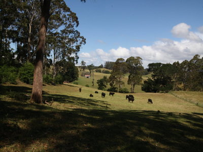 219 Calder Road, Wynyard