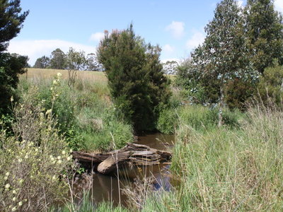 219 Calder Road, Wynyard