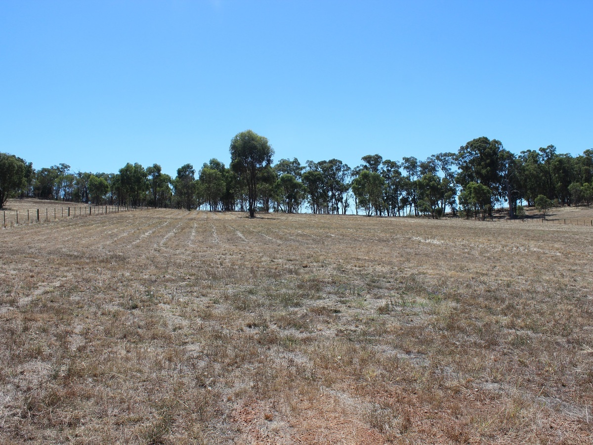 Lot 47, Lakeside Drive, Chesney Vale