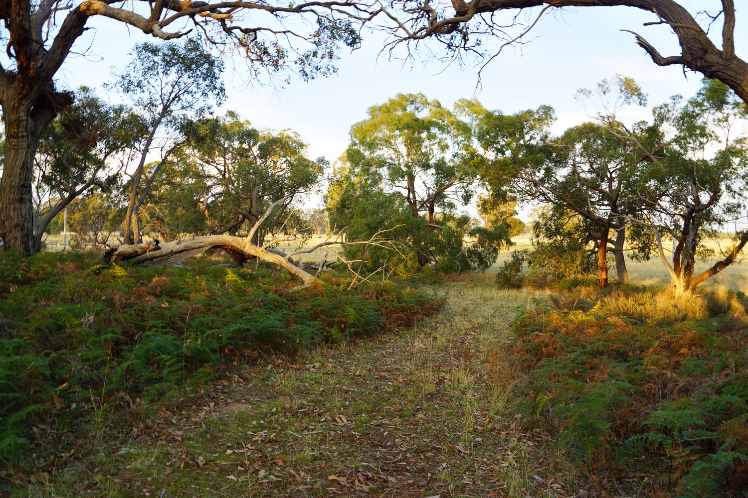 Lot 7 /135 John McPhees Drive, Toolondo