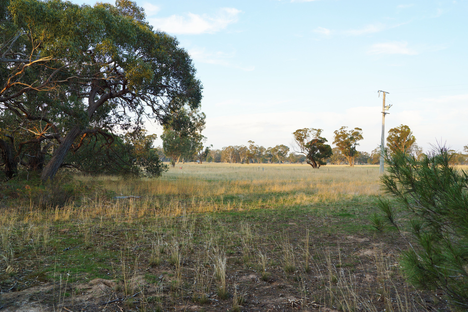 Lot 7 /135 John McPhees Drive, Toolondo