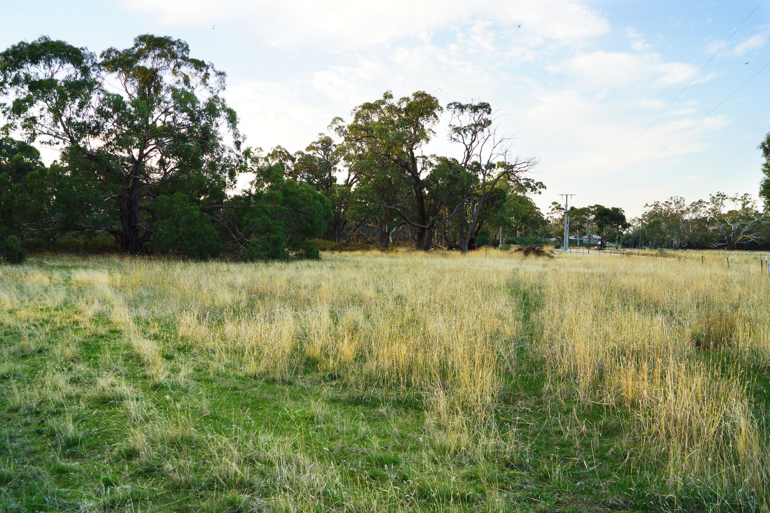 Lot 7 /135 John McPhees Drive, Toolondo