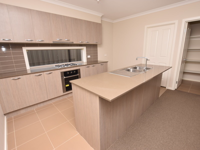 19 Marblelight Way, Clyde North