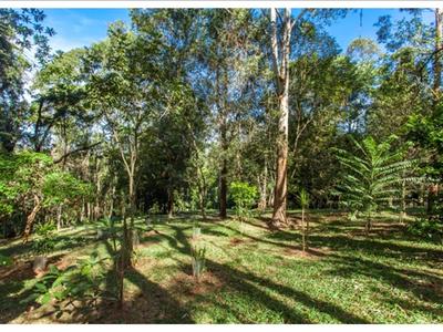 186 Repentance Creek Road, Goonengerry