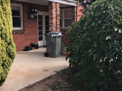 434 Harfleur Street, Deniliquin