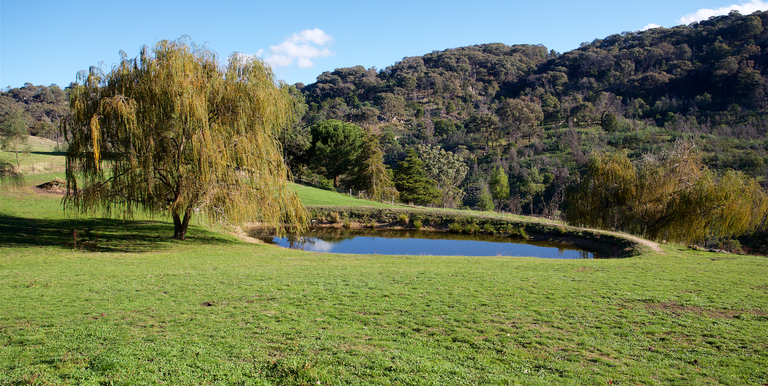 2042 Creightons Creek Road Creightons Creek, Euroa