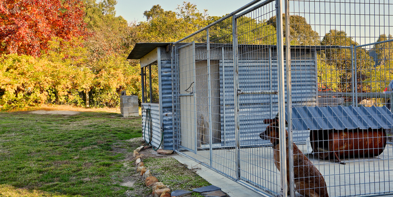 2042 Creightons Creek Road Creightons Creek, Euroa