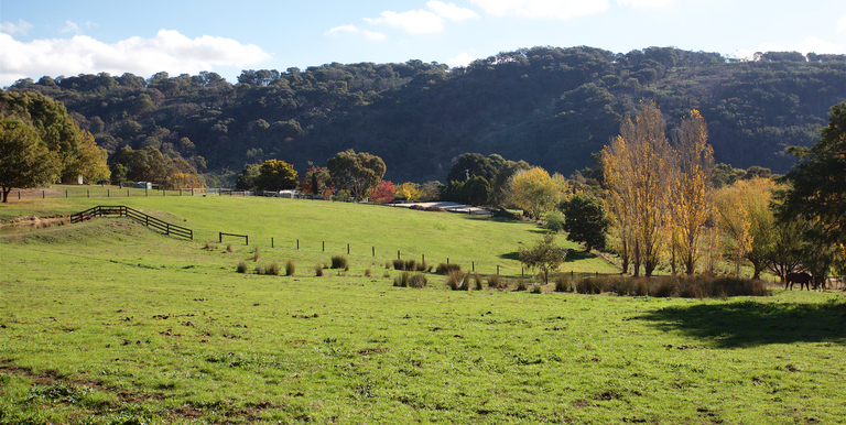 2042 Creightons Creek Road Creightons Creek, Euroa