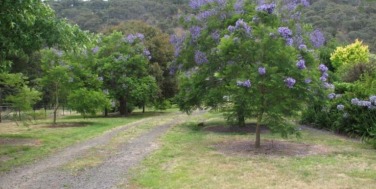 2042 Creightons Creek Road Creightons Creek, Euroa