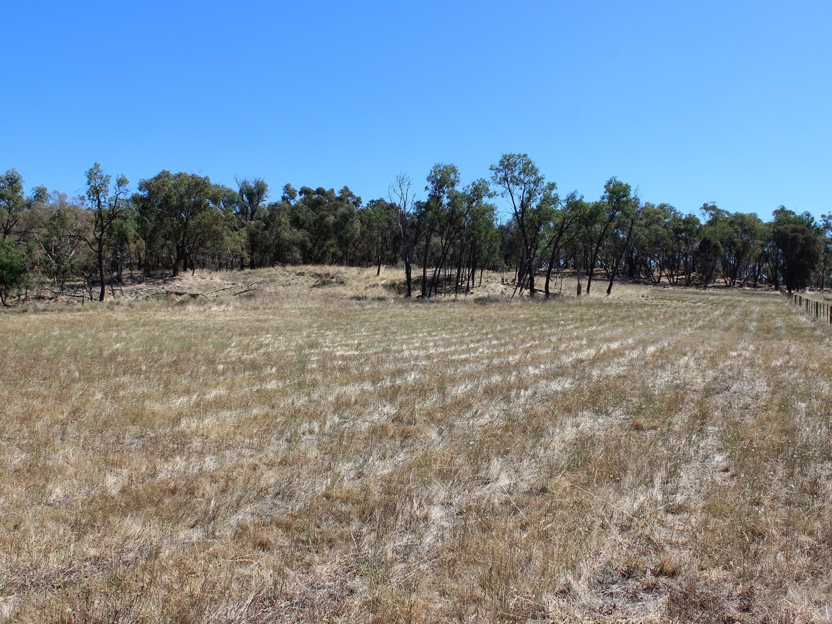 Lot 51, Lakeside Drive, Chesney Vale