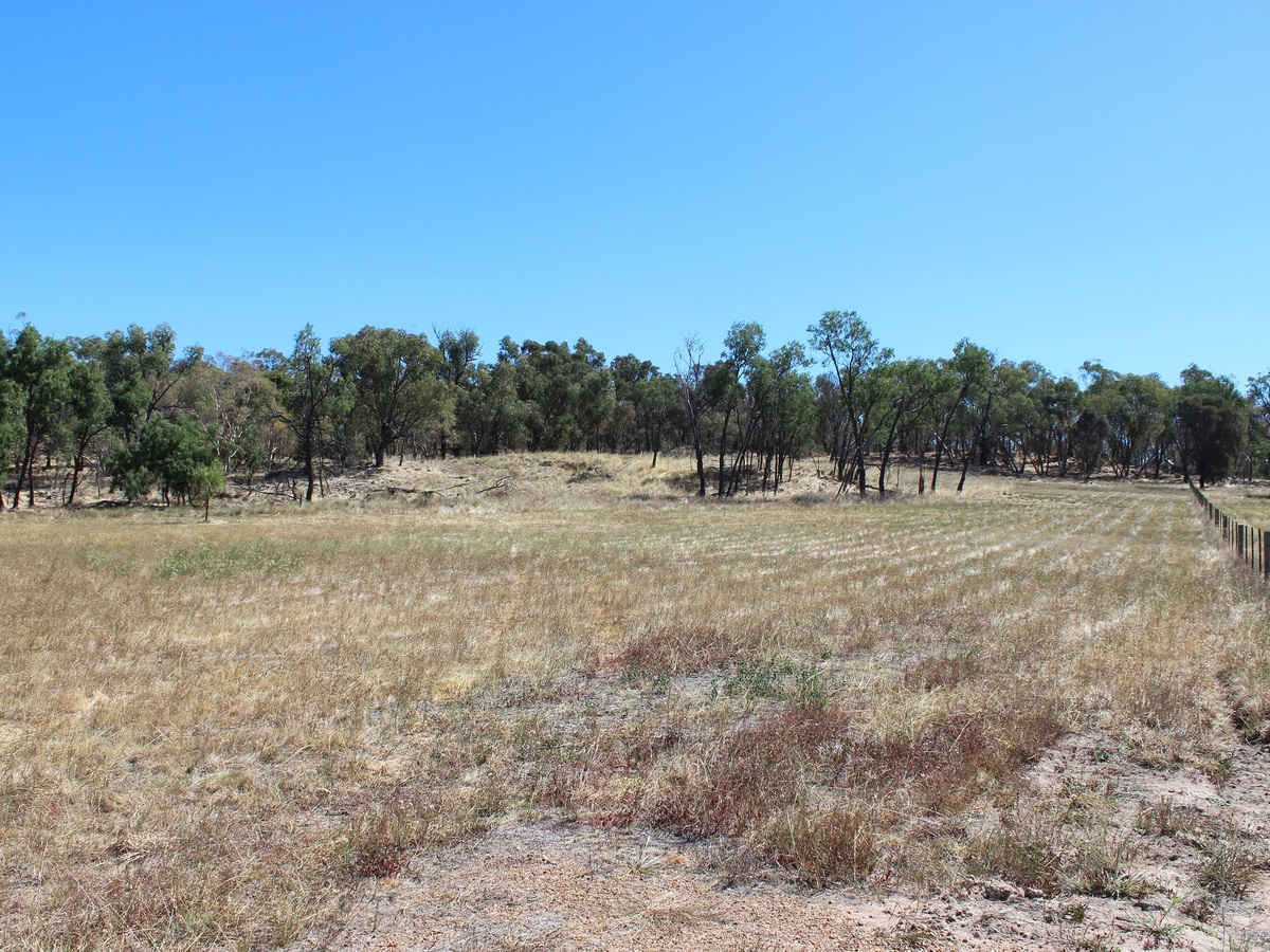 Lot 51, Lakeside Drive, Chesney Vale