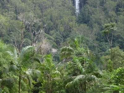 Mullumbimby