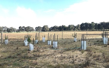 Lot 2, 150 Hardinghams Road, Haven