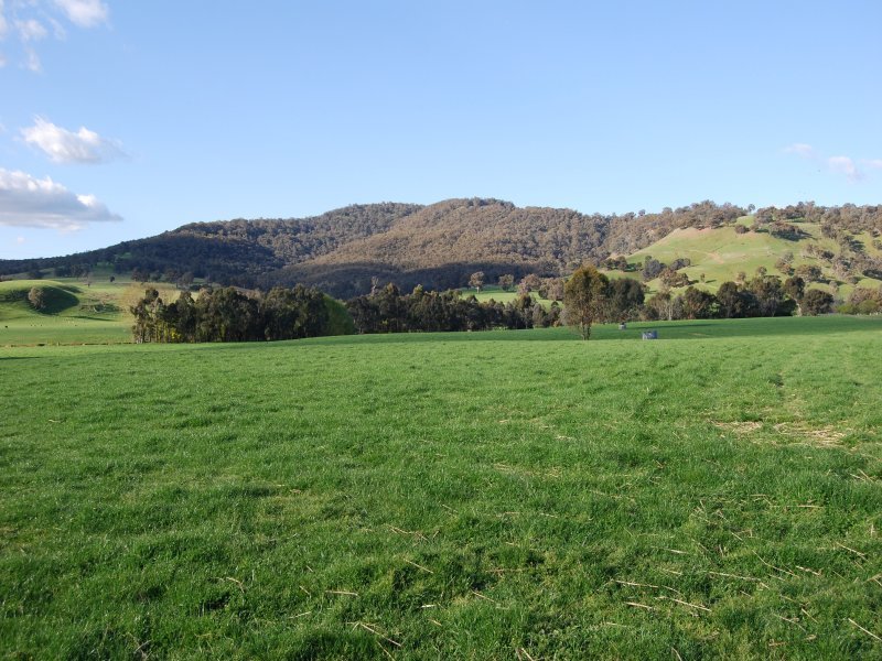 45 Stevensons Road, Bridge Creek