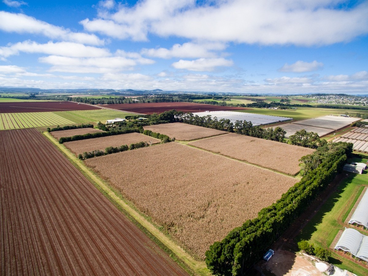 119 Beantree Road, Tolga