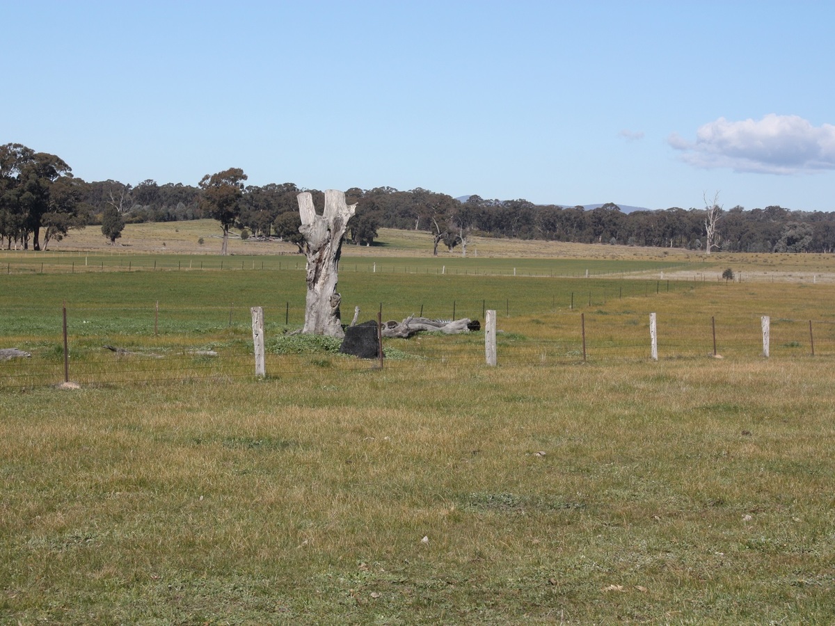 689 Burness Road, Benalla