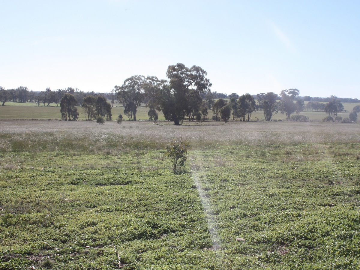 689 Burness Road, Benalla