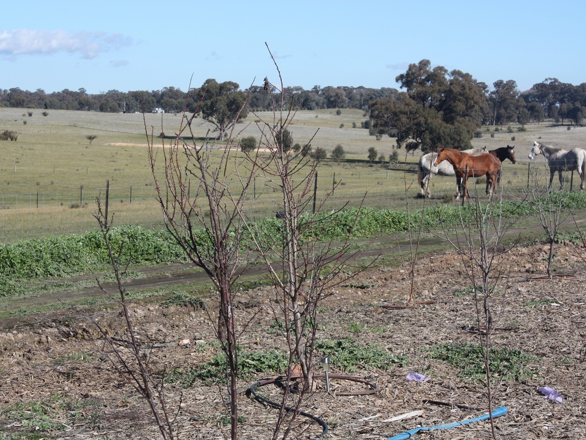 689 Burness Road, Benalla