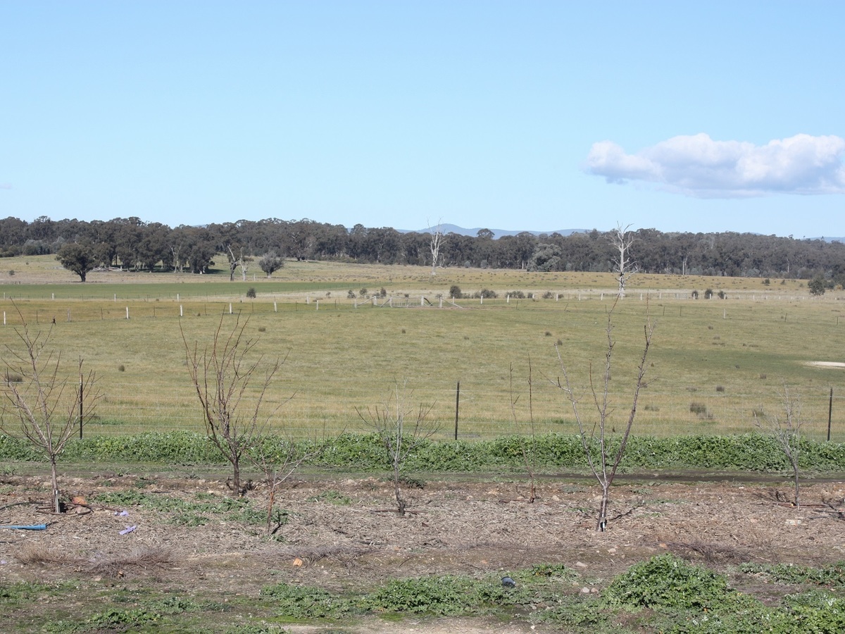 689 Burness Road, Benalla