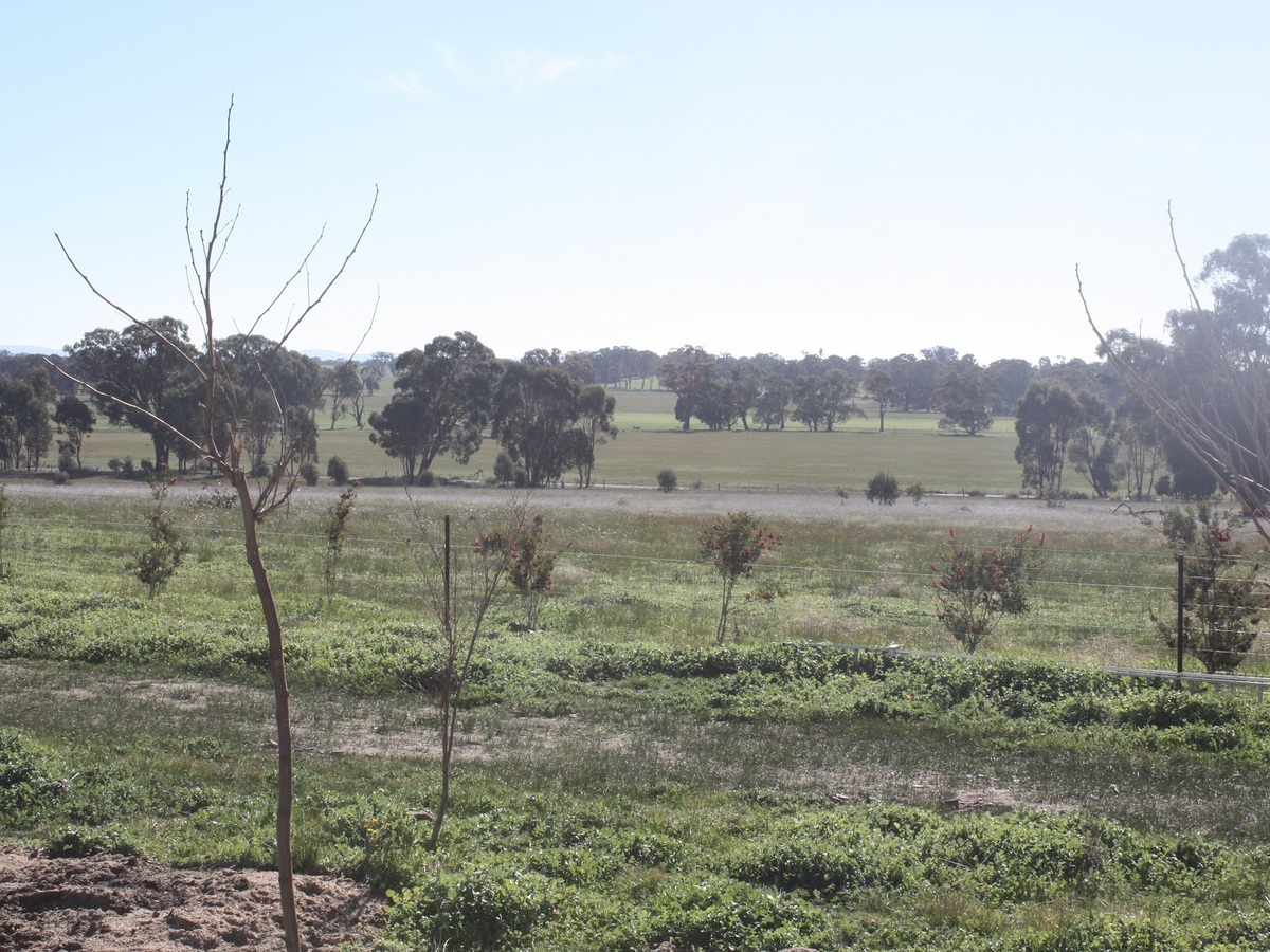689 Burness Road, Benalla