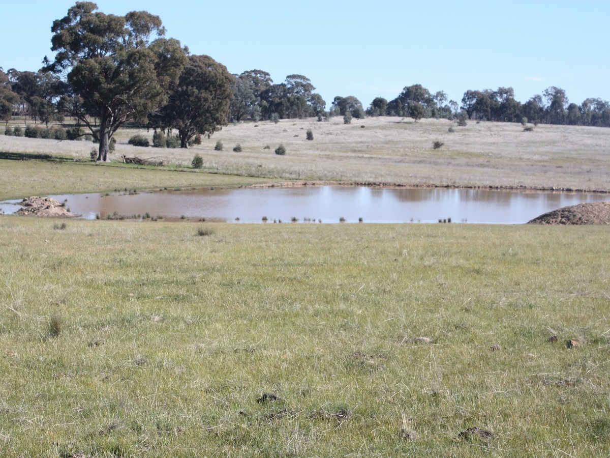 689 Burness Road, Benalla
